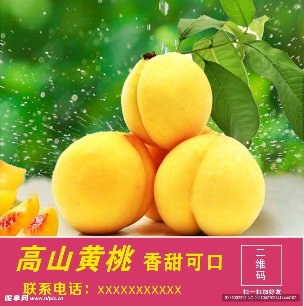 高山黄桃