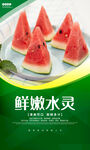 西瓜 