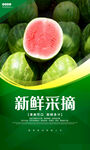 西瓜 