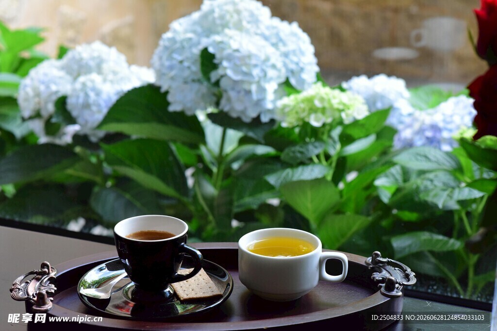 户外桌前的茶饮与绣球花