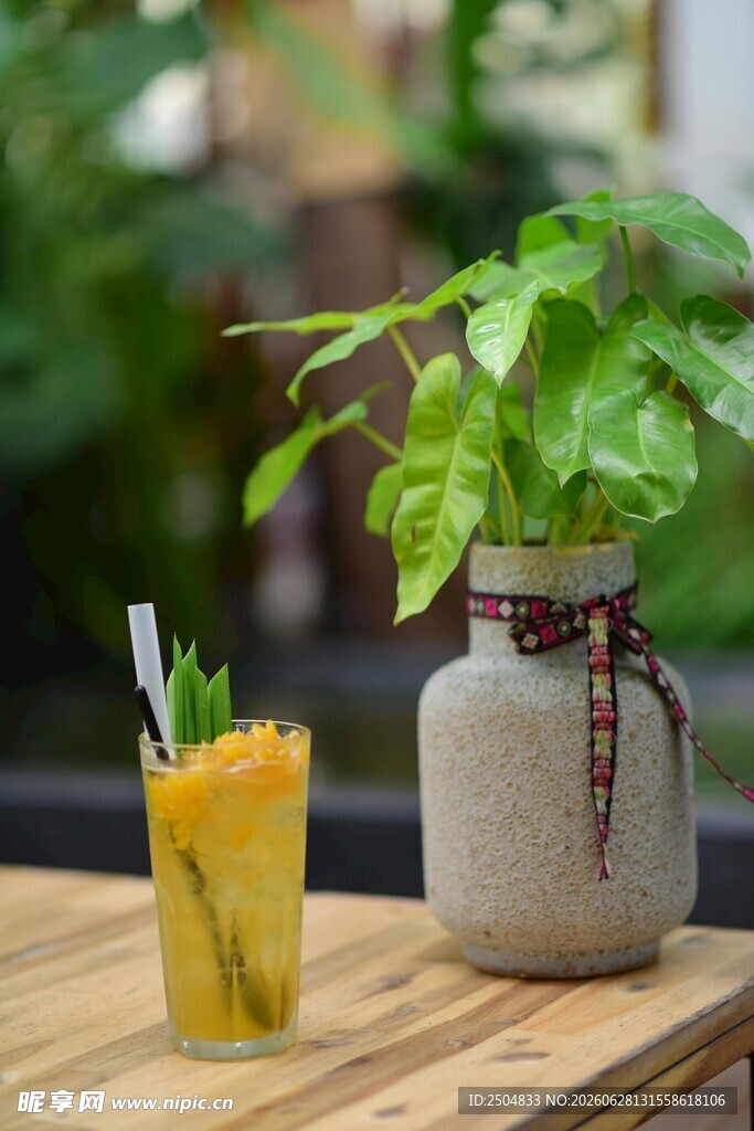 清新绿植搭配美味饮品