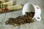 白杯洒落的干茶叶