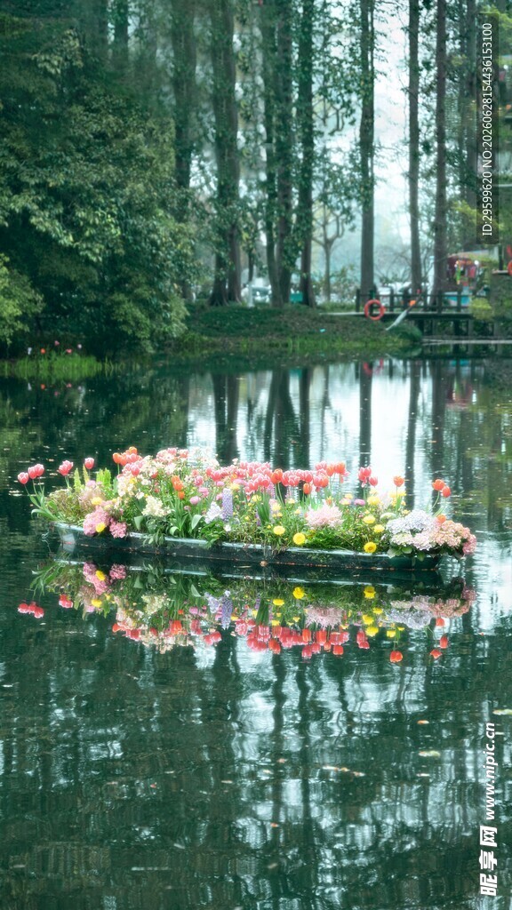 湖中小岛繁花似锦