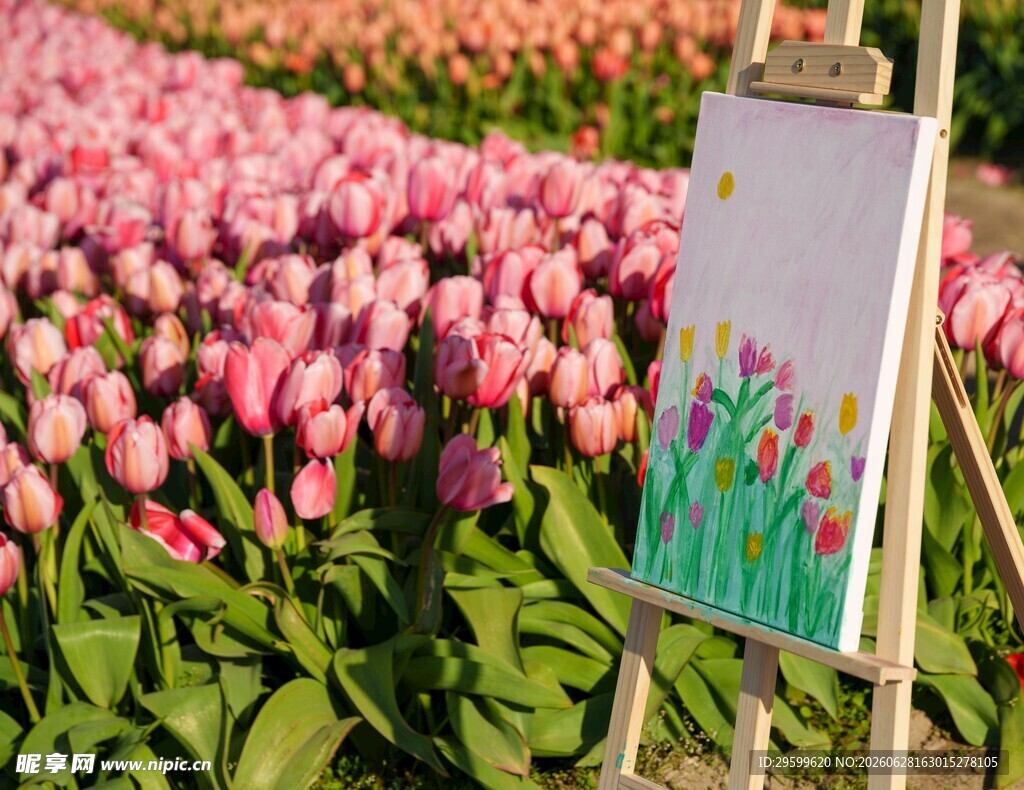 画架前的烂漫郁金香花海