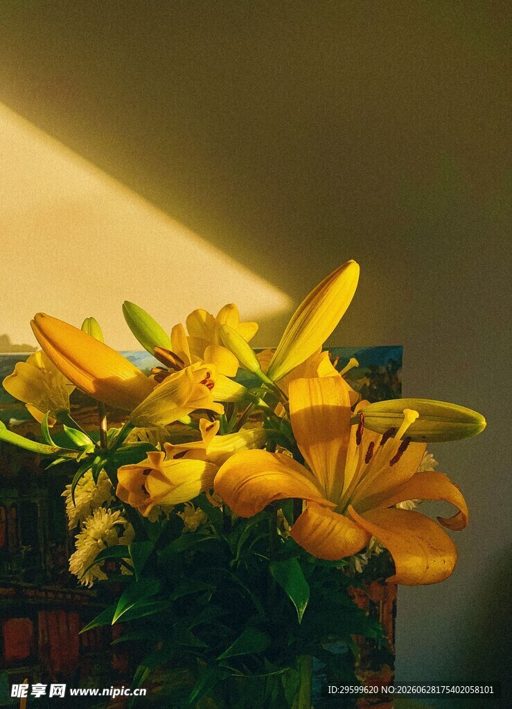 阳光下的黄色百合花束