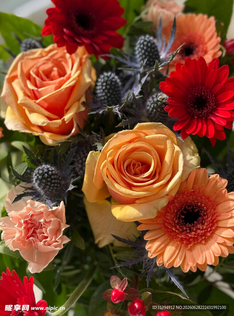 多彩鲜花组合