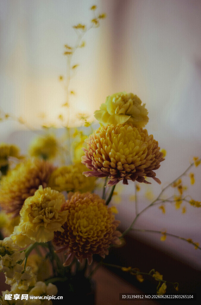 黄色干花静物特写