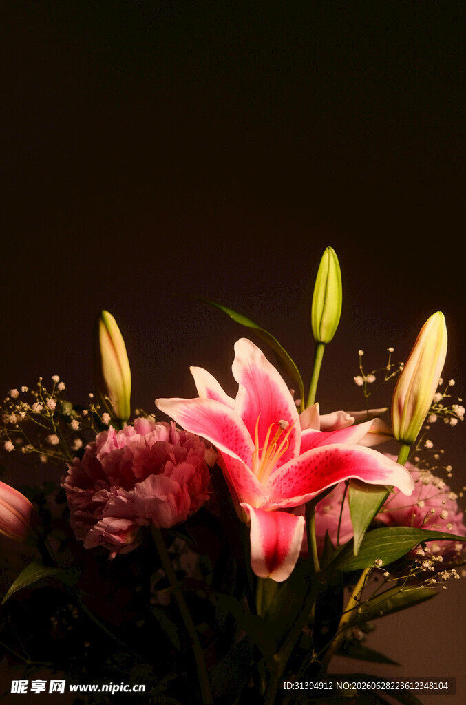 夜下绽放的娇艳百合花
