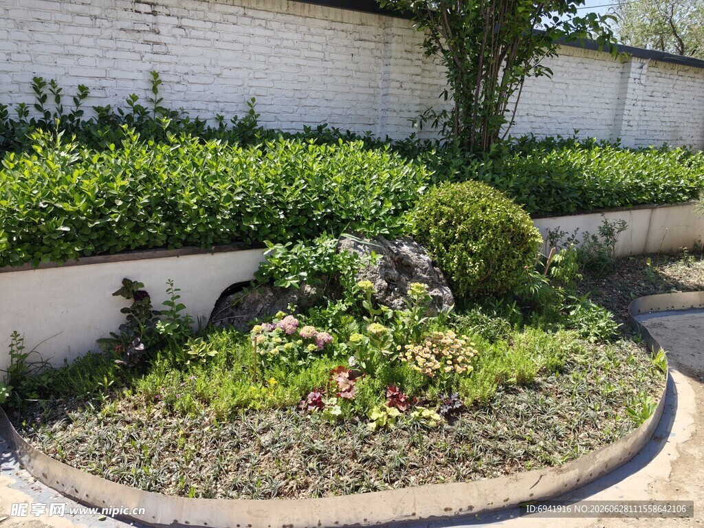 庭院绿植景观一角