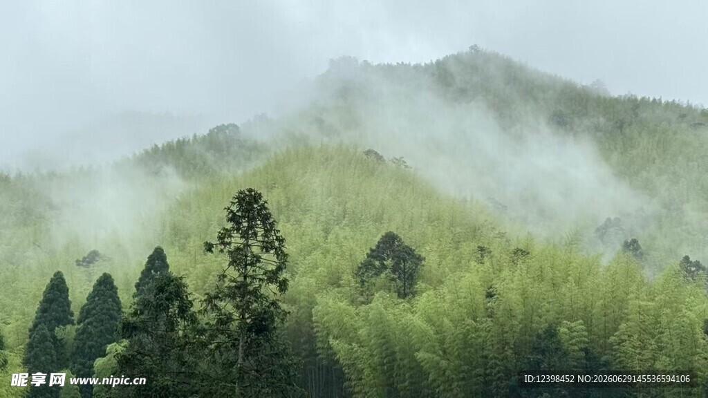 山间云雾缭绕的翠绿森林