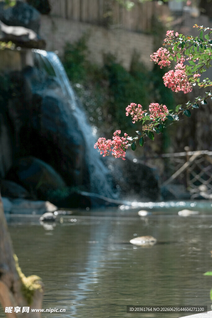 溪边瀑布与绽放的花朵