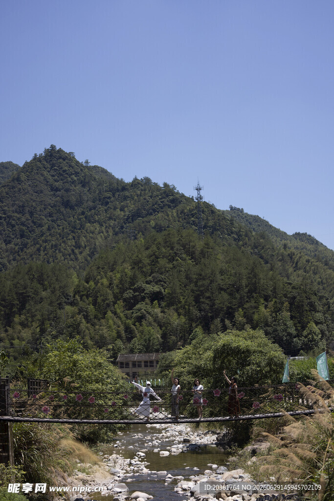 山间溪流穿林而过