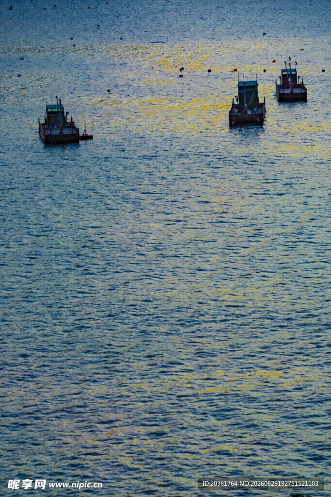 海上船只航行景象