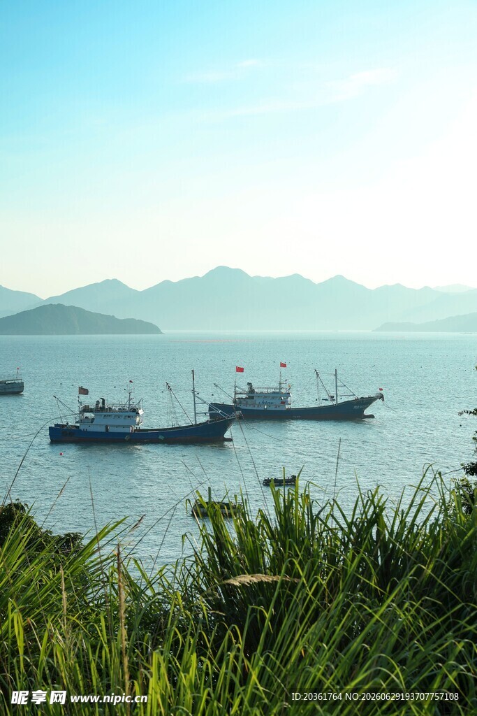海上船只与岸边绿植景观