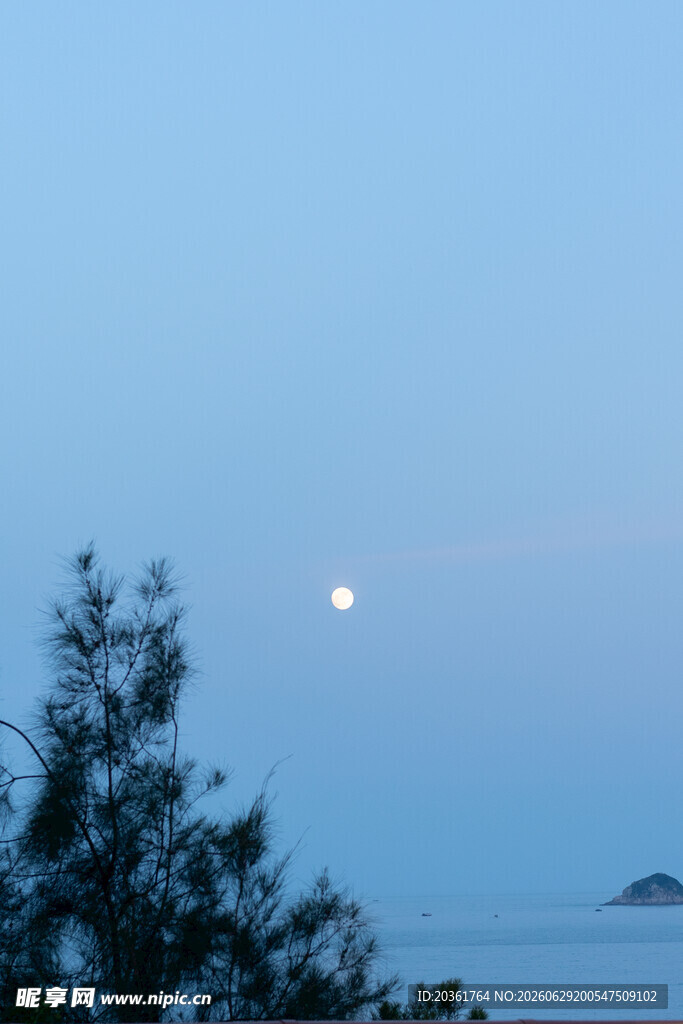 月夜树影下的静谧海景