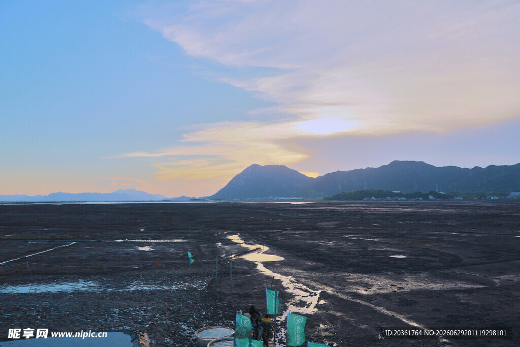 夕阳下的湿地景观