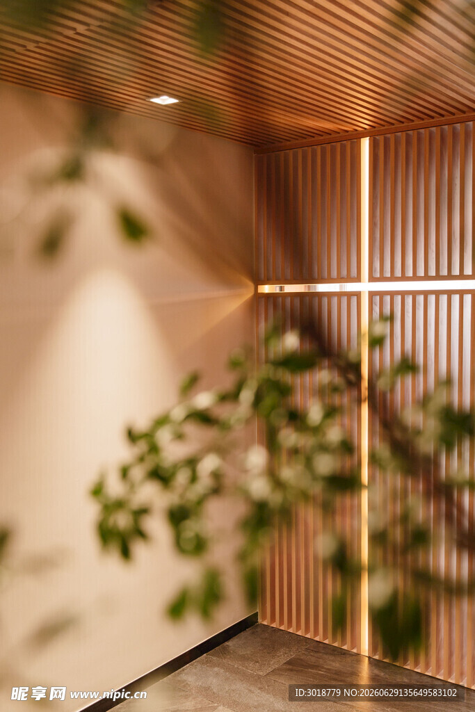 室内绿植装饰的温馨角落