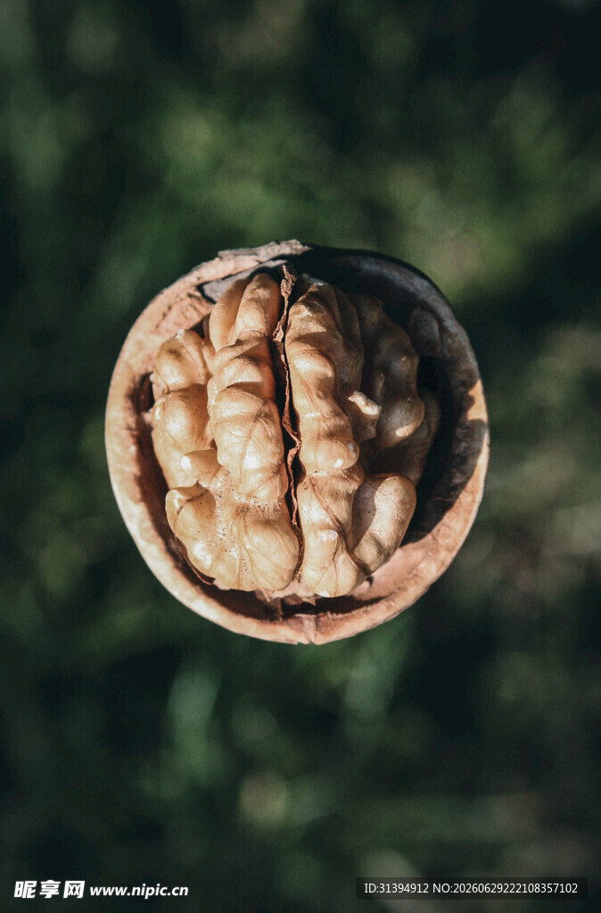 剥开的核桃特写