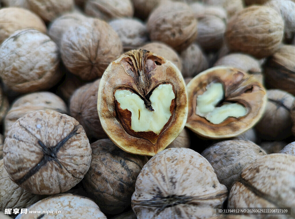 饱满核桃特写
