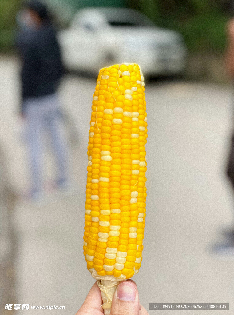 手持香甜玉米棒
