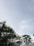 蓝天绿树风景图