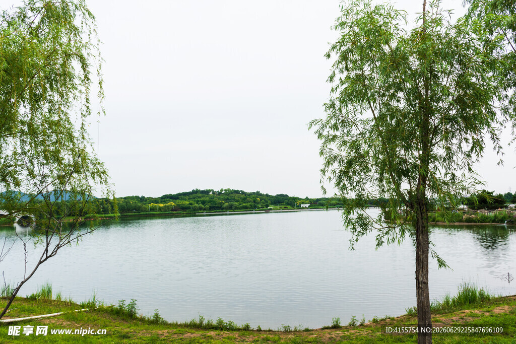 湖畔绿树风景