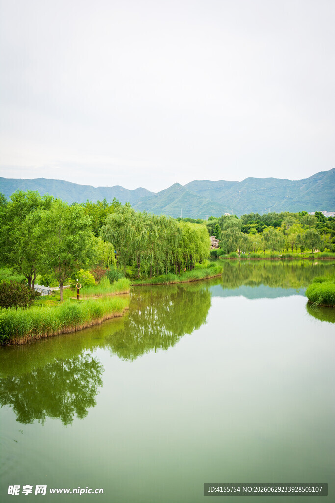 湖畔绿意盎然的自然美景