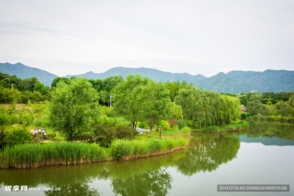 湖畔绿意盎然的自然景致