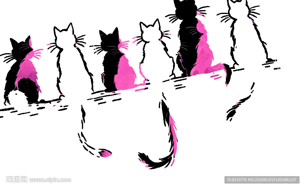 五只穿粉衣的可爱猫咪