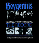 Boygenius传图