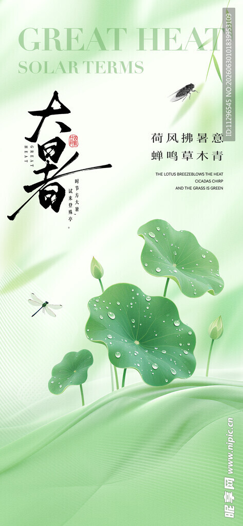 大暑清新绿意荷叶背景海报