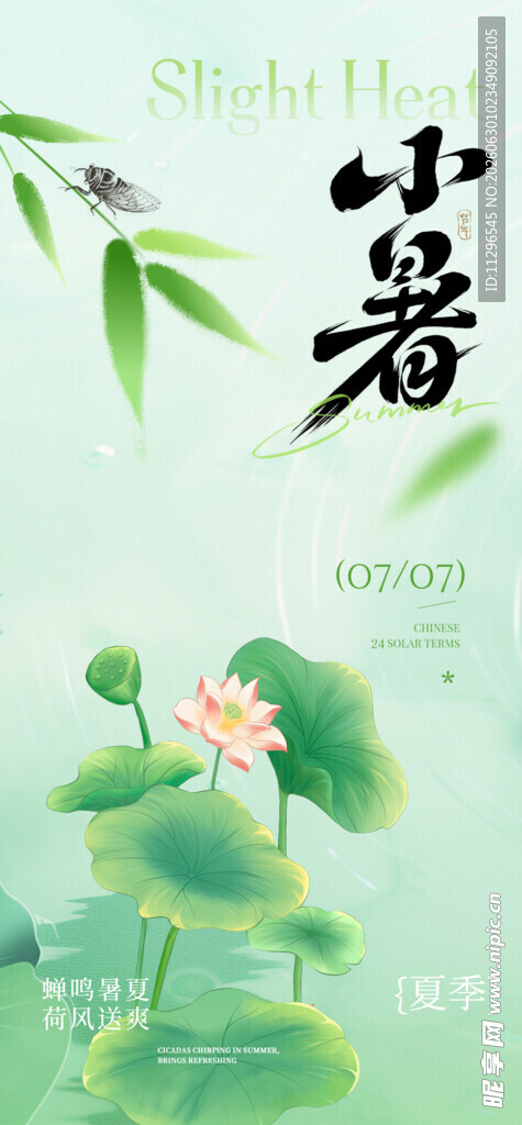 小暑时节荷花绽放海报背景