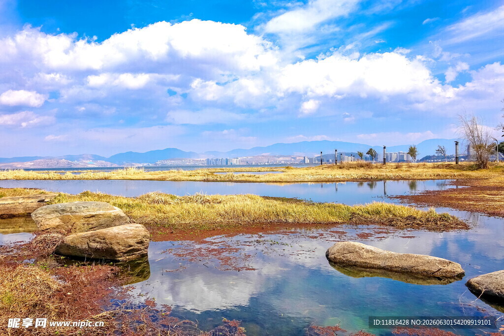 美丽湖畔风光