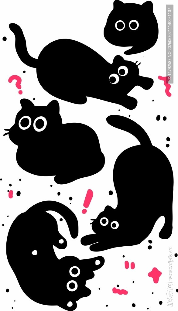 可爱黑猫