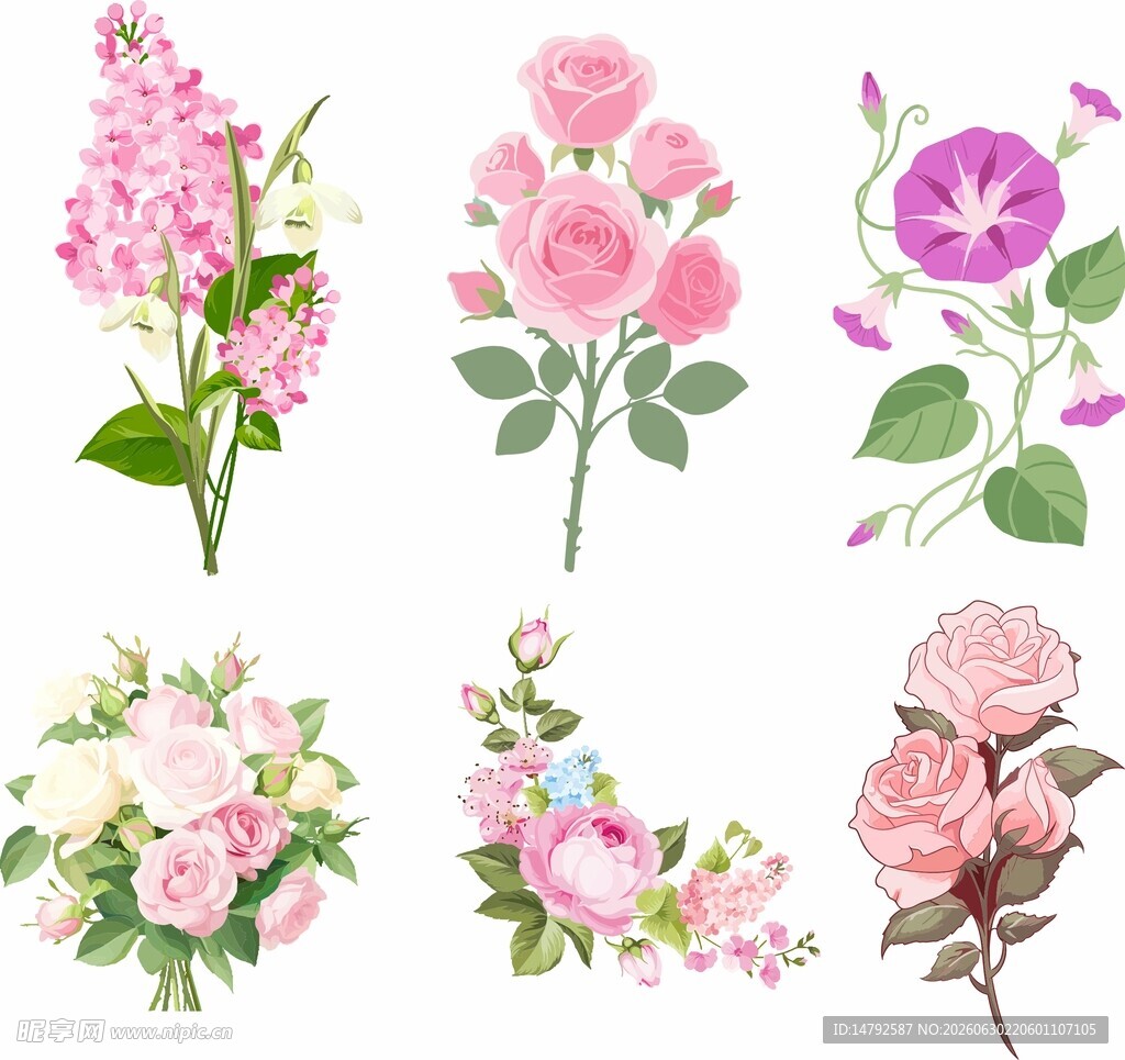 手绘花卉矢量