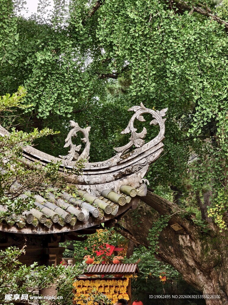 惠山寺小景