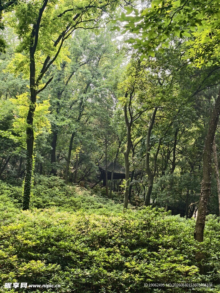 惠山休息亭