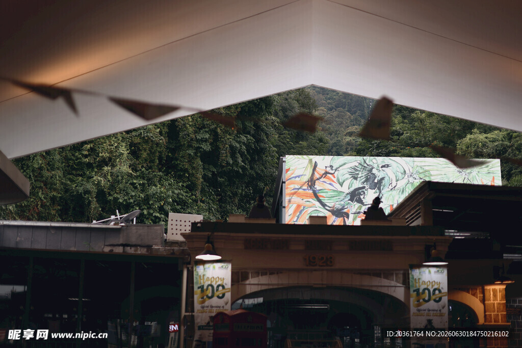 室内绿植装饰的独特空间