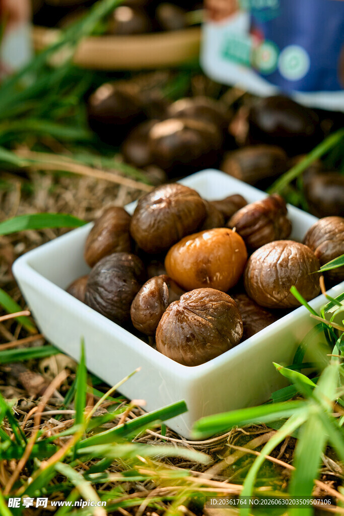 草地上白盒中的饱满栗子