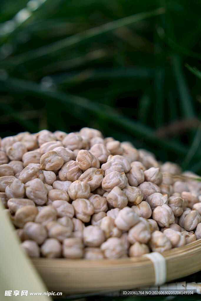 竹盘上的饱满鹰嘴豆