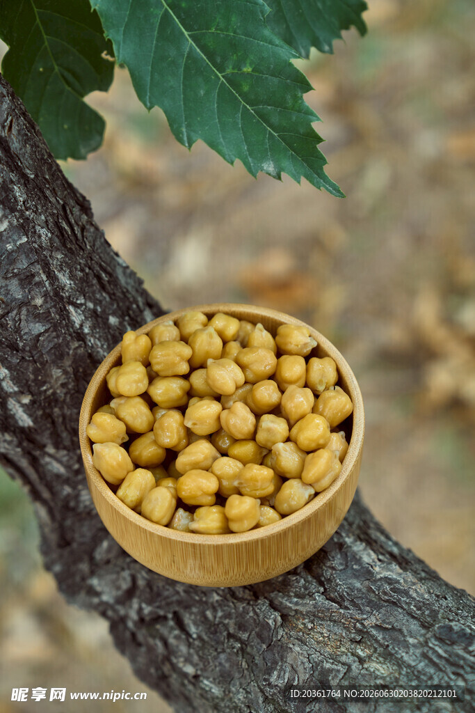 木碗中盛放的饱满黄豆