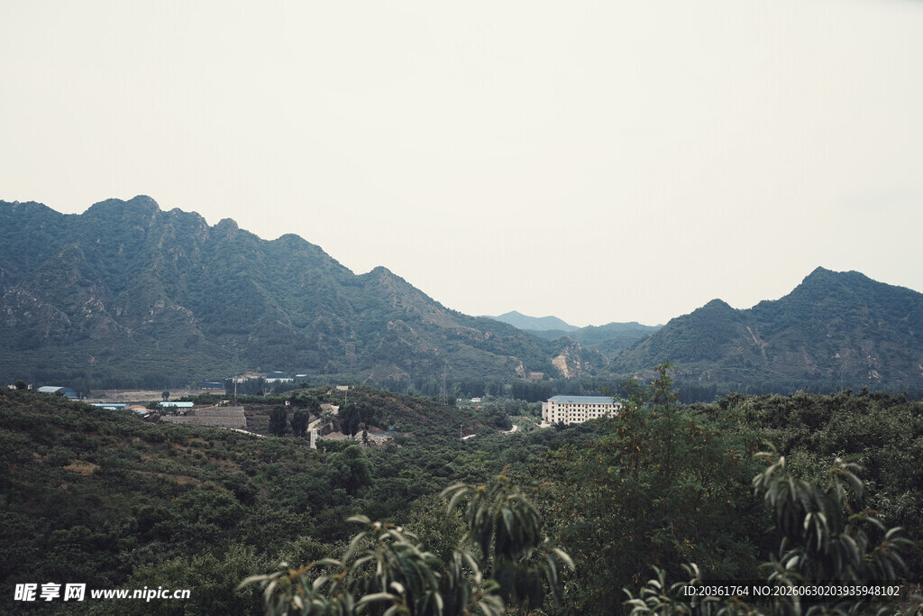 山间绿意景观