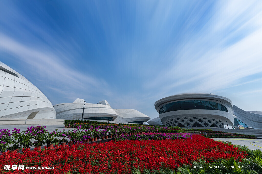 花海映衬下的现代建筑