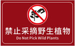 禁止采摘野生植物