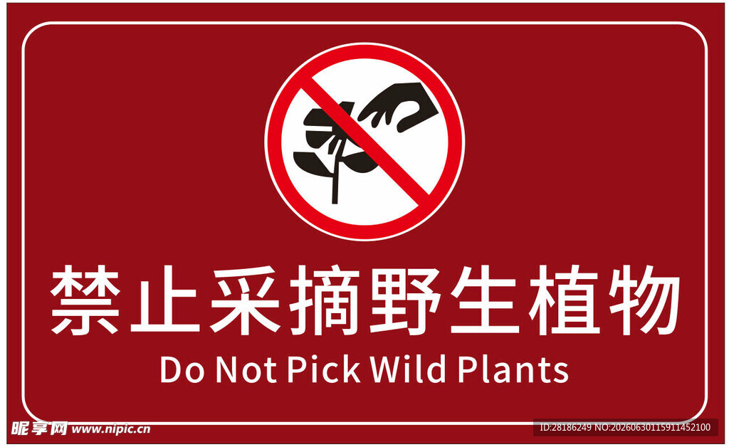 禁止采摘野生植物