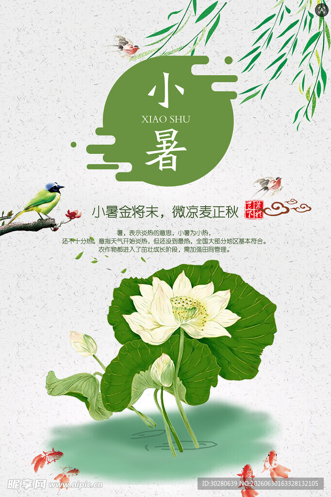 小暑海报           