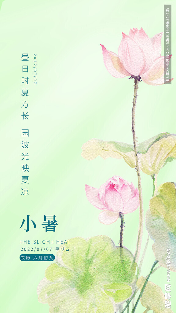 小暑海报           