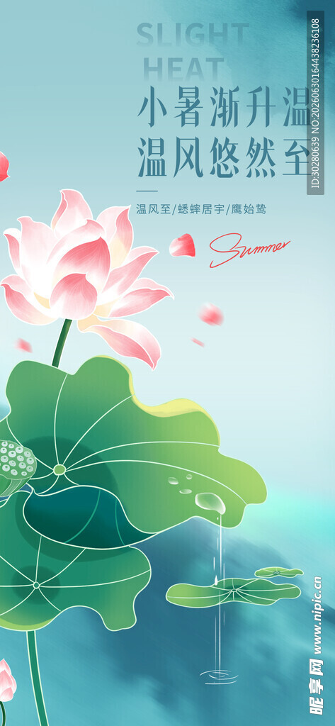 小暑海报           
