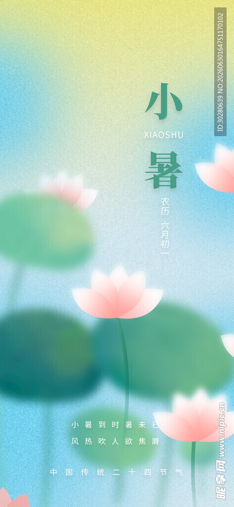 小暑海报           
