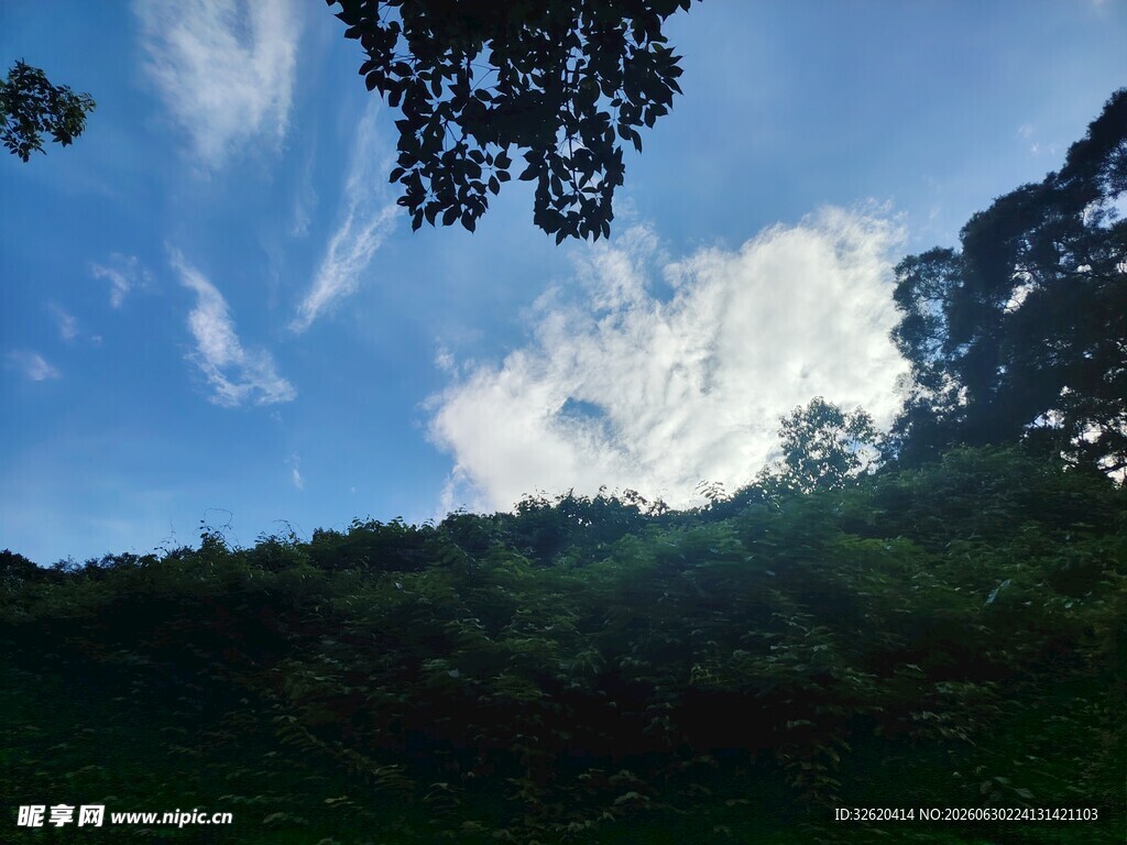 山间蓝天绿树美景